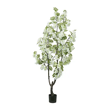 images/uploads/22250/thumb_22058 web.webp